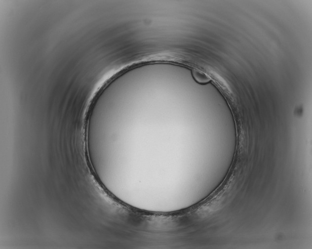 X0000090710800200707271130