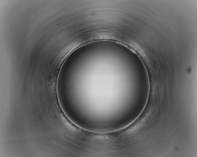 X0000090710801200707271130