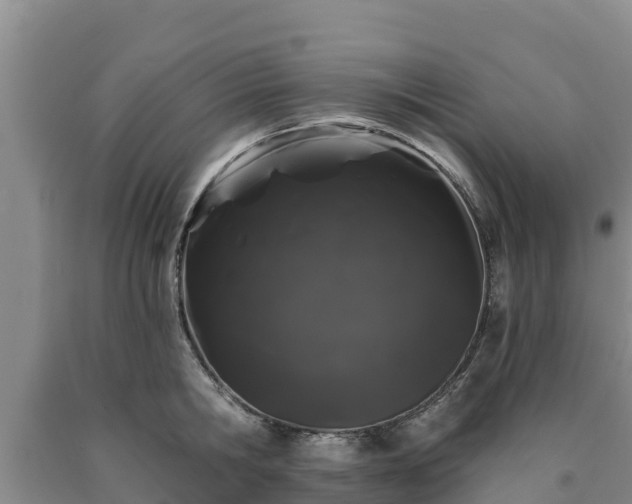 X0000090710806200707271130