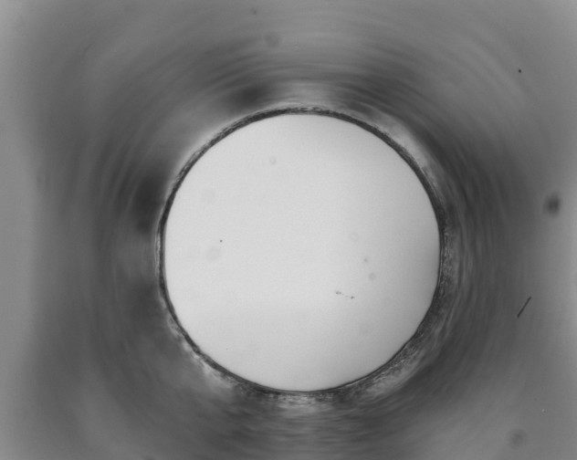 X0000090710807200707271130