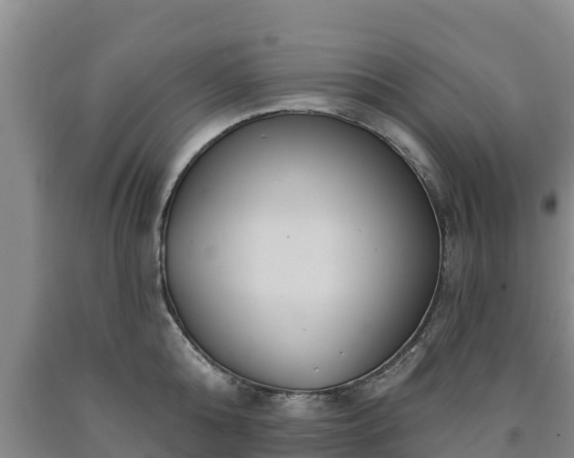 X0000090710808200707271130