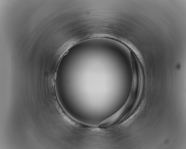 X0000090710809200707271130