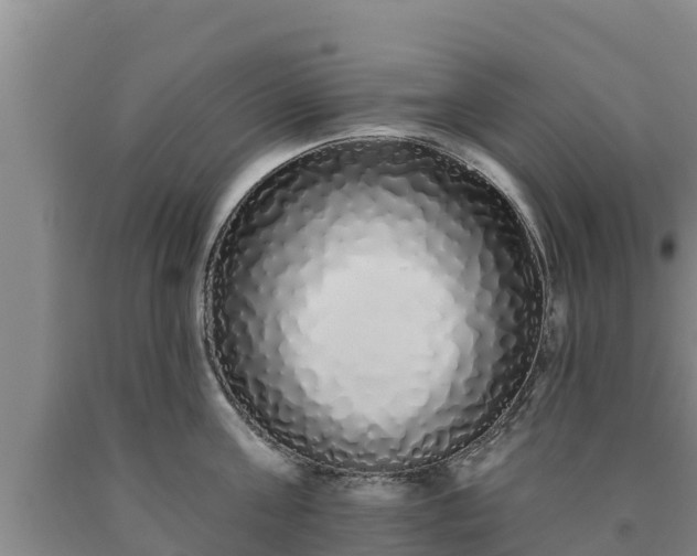 X0000090710811200707271130