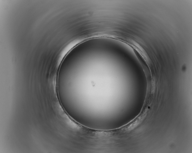 X0000090710812200707271130