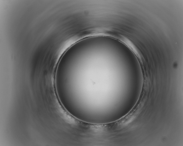 X0000090710813200707271130