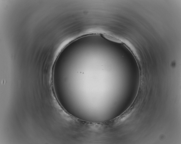 X0000090710815200707271130