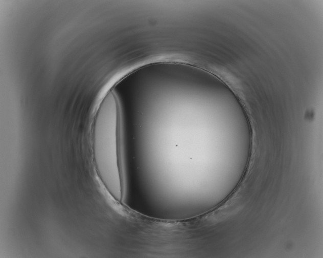 X0000090710816200707271130