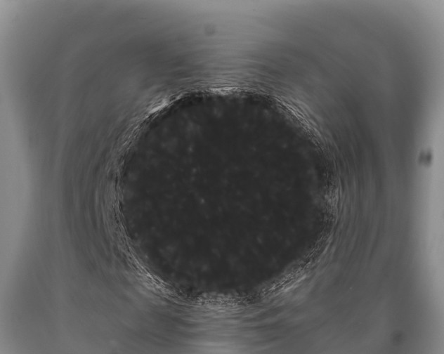 X0000090710817200707271129