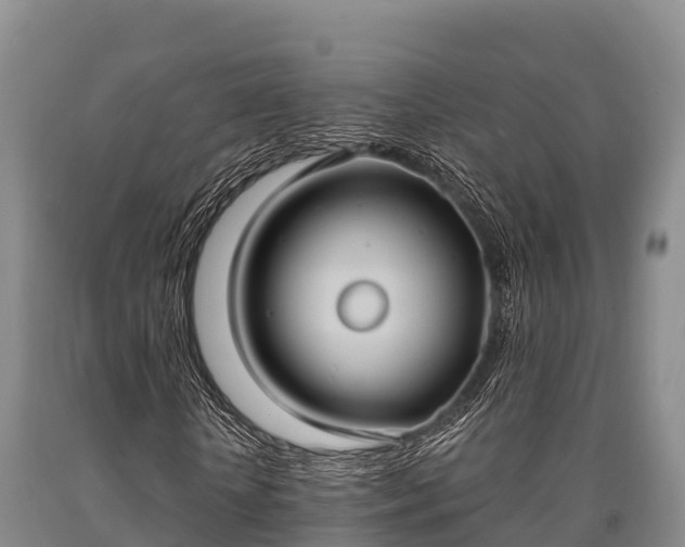 X0000090710818200707271129