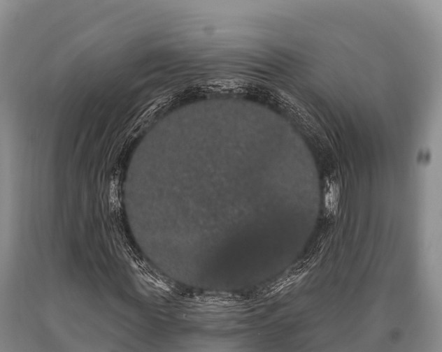 X0000090710819200707271129