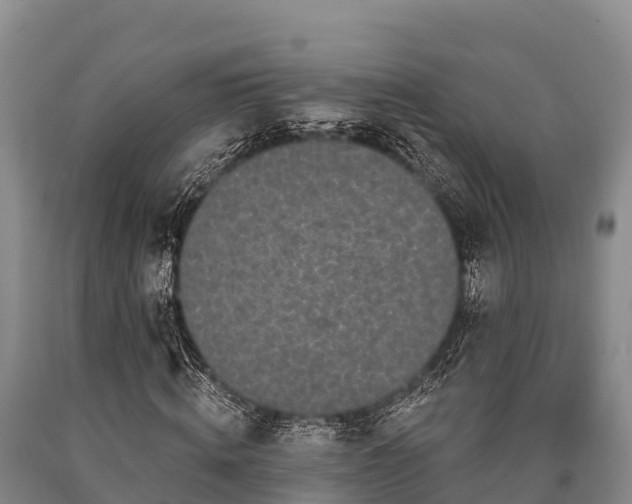 X0000090710820200707271129