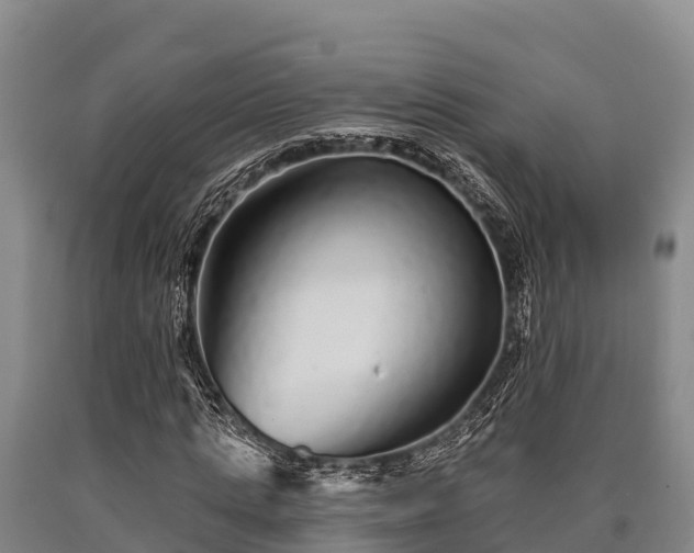 X0000090710821200707271129