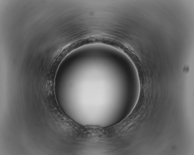 X0000090710822200707271129