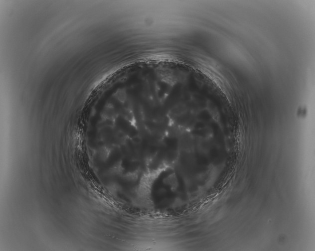 X0000090710823200707271129