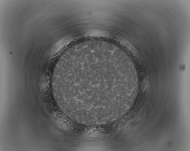 X0000090710824200707271129