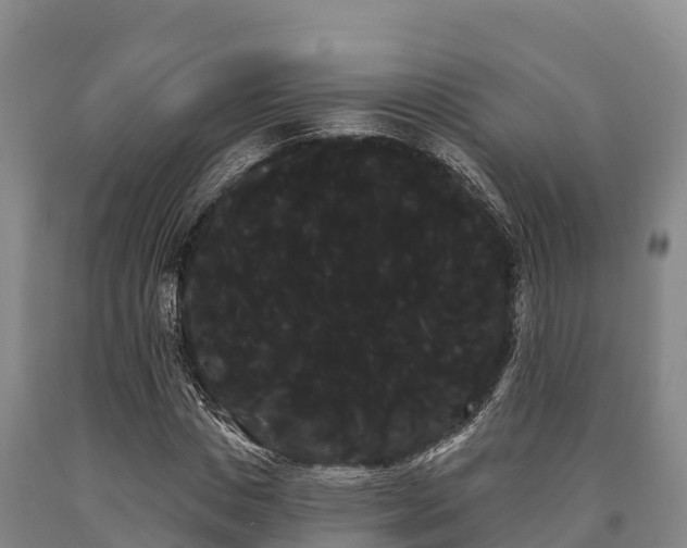 X0000090710825200707271129