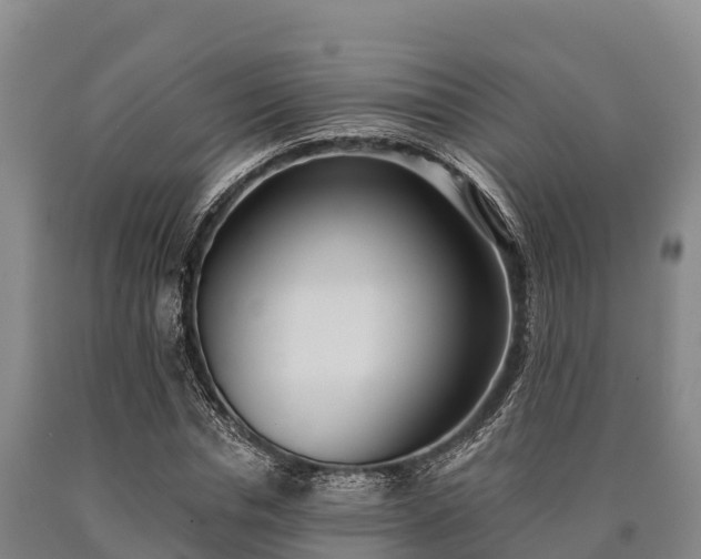 X0000090710826200707271129