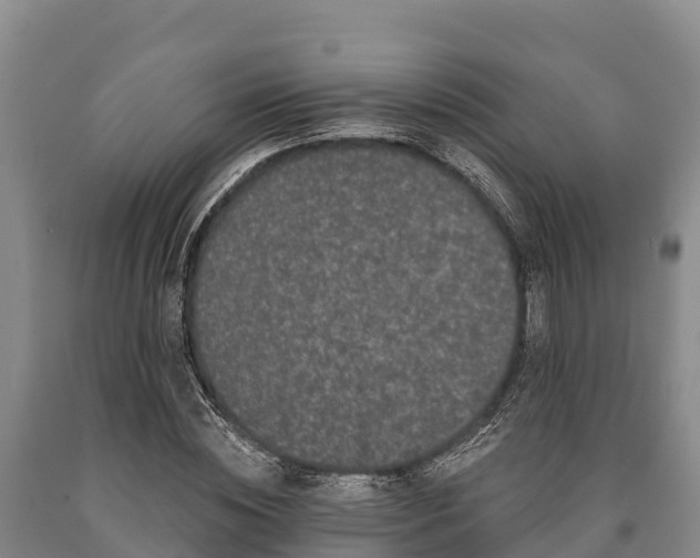 X0000090710828200707271129