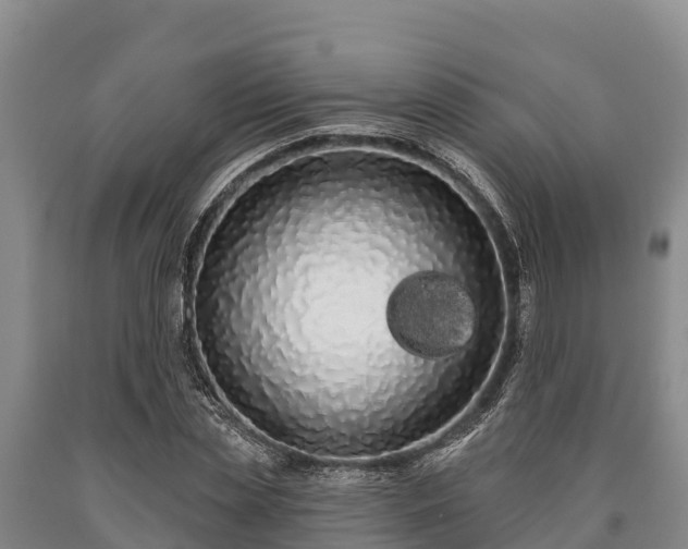 X0000090710829200707271129