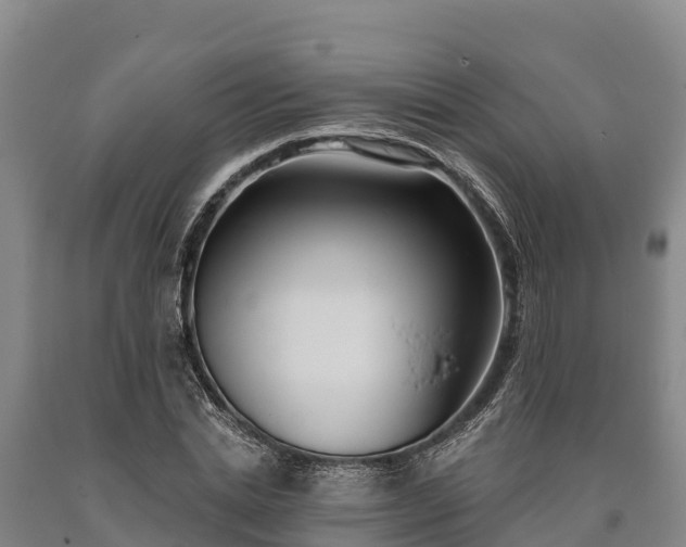 X0000090710830200707271129