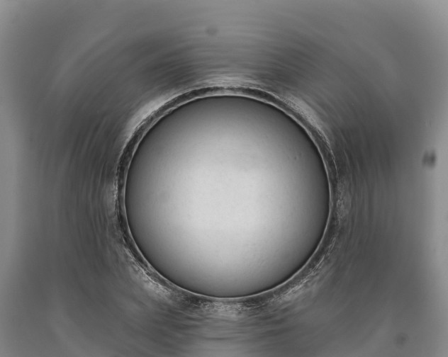 X0000090710831200707271129