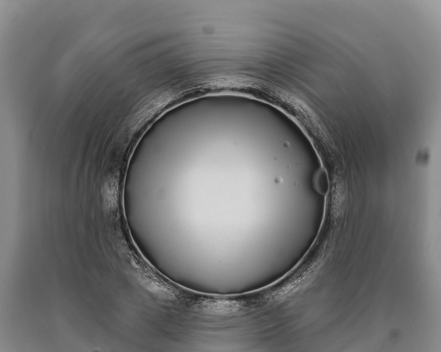 X0000090710833200707271130