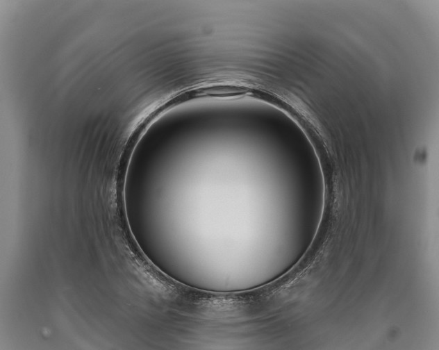 X0000090710834200707271130