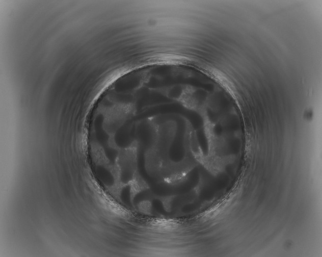 X0000090710835200707271130