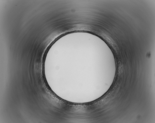 X0000090710836200707271130