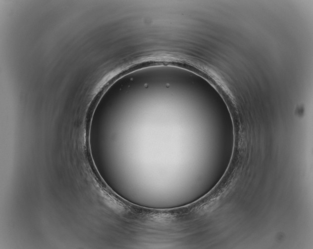 X0000090710837200707271130