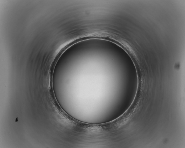 X0000090710838200707271130