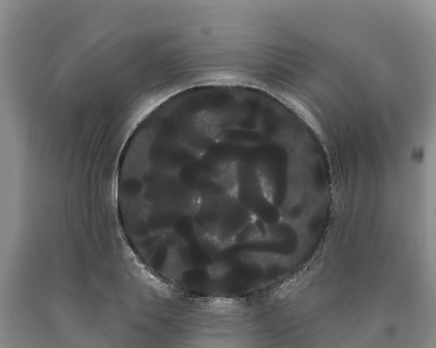 X0000090710839200707271130