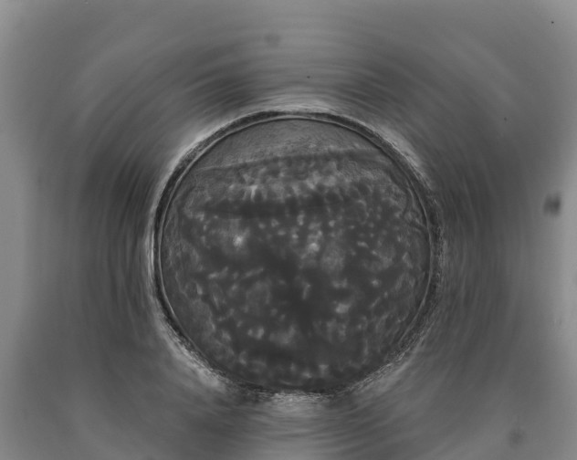 X0000090710840200707271130