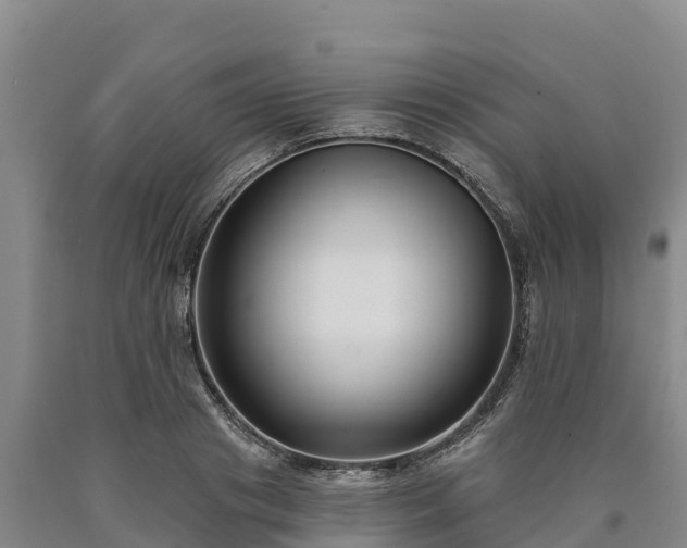 X0000090710841200707271130