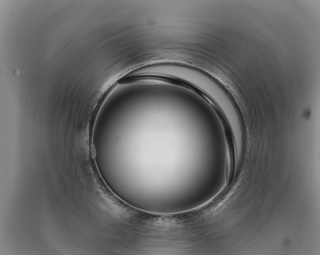 X0000090710842200707271130