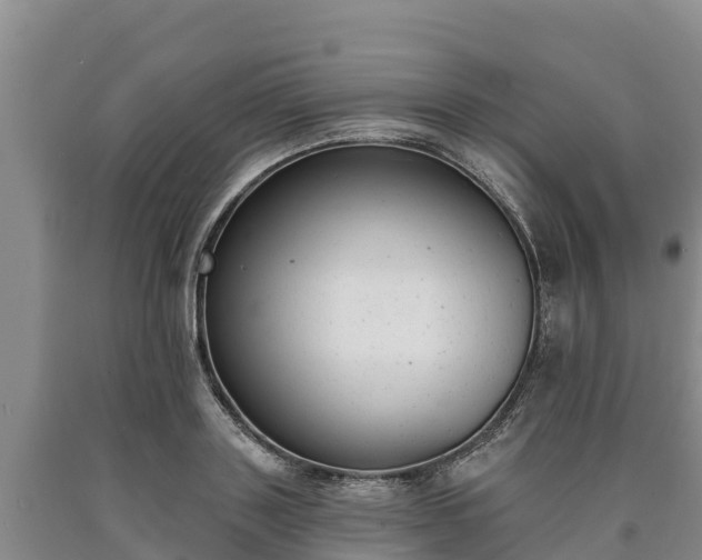 X0000090710843200707271130