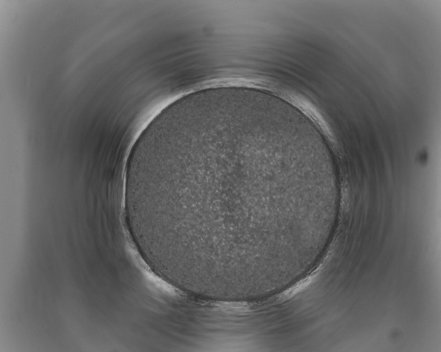 X0000090710844200707271130