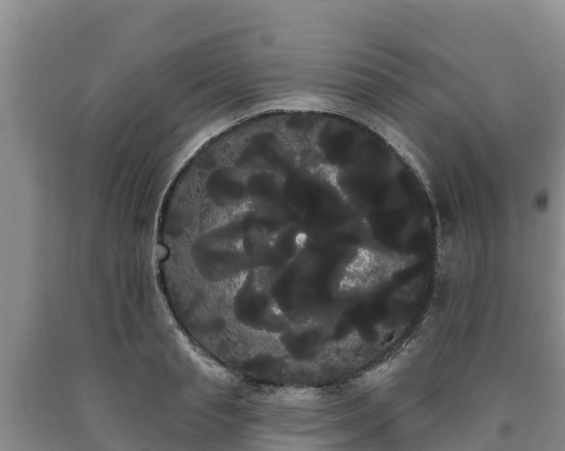 X0000090710845200707271130