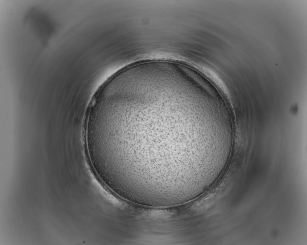 X0000090710847200707271130