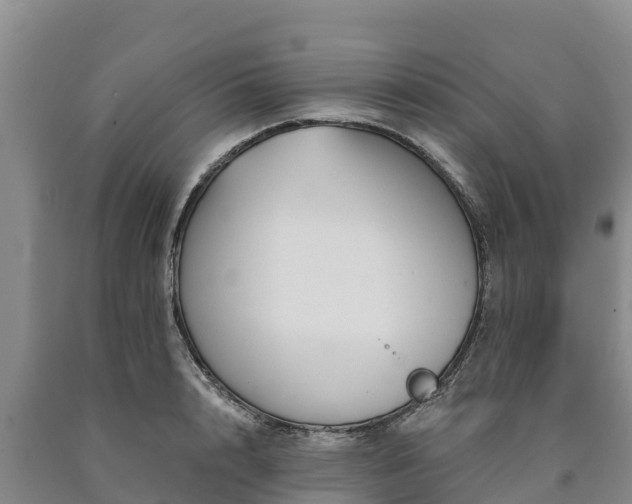 X0000090710848200707271130