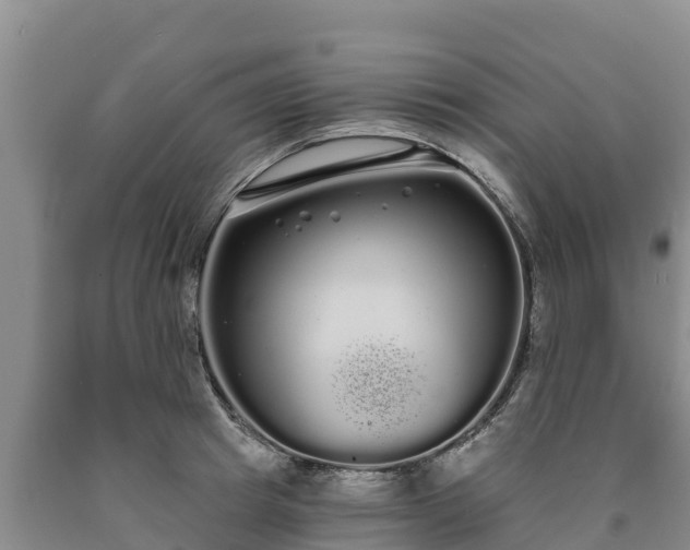 X0000090710849200707271130