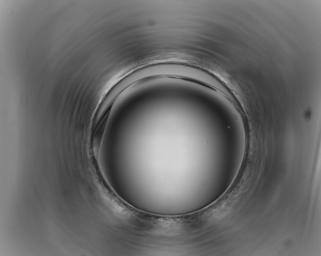 X0000090710850200707271130