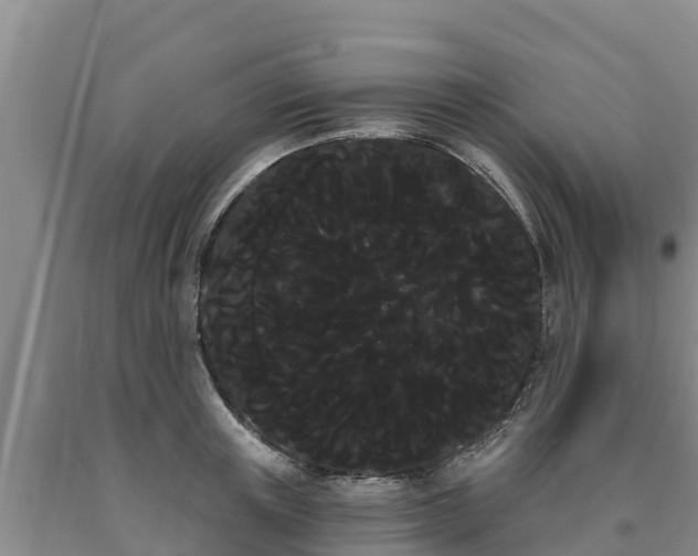 X0000090710851200707271130