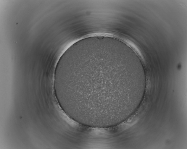 X0000090710852200707271130