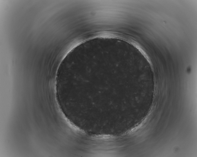 X0000090710853200707271130