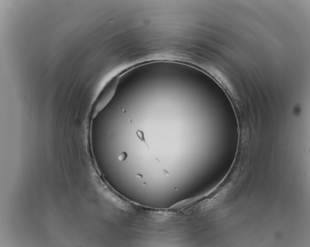 X0000090710854200707271130