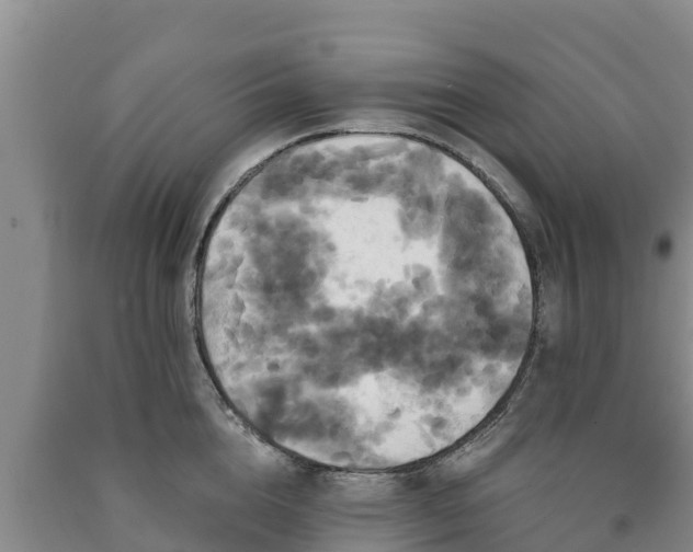 X0000090710856200707271130