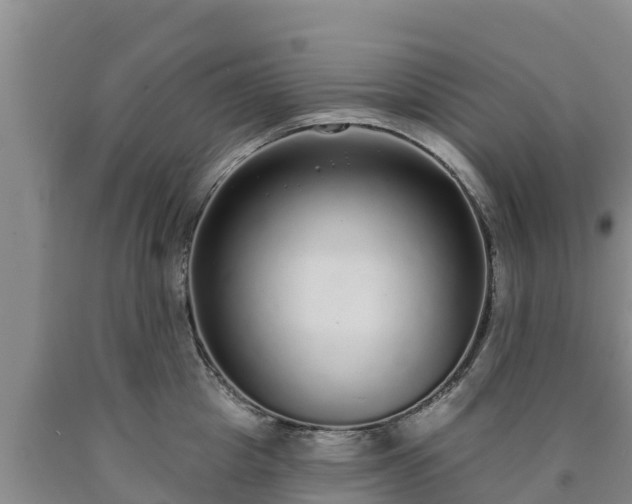 X0000090710857200707271130