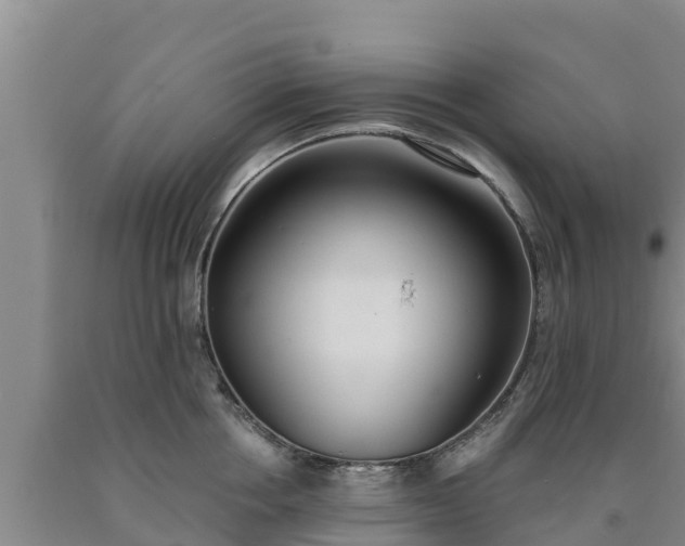 X0000090710858200707271130