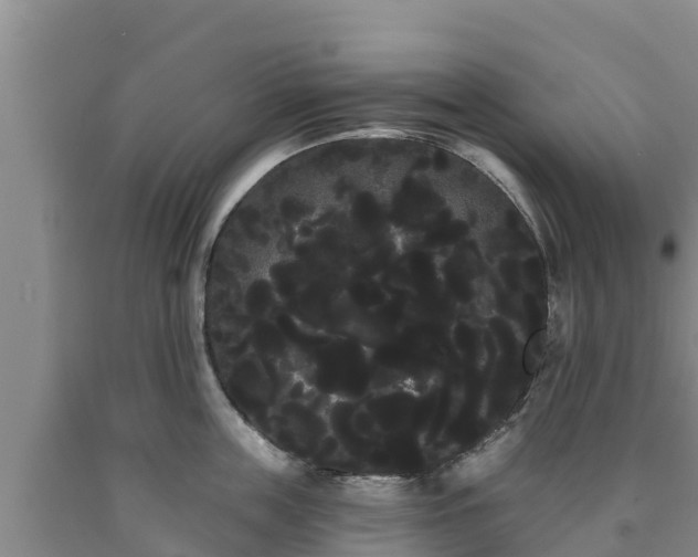 X0000090710859200707271130